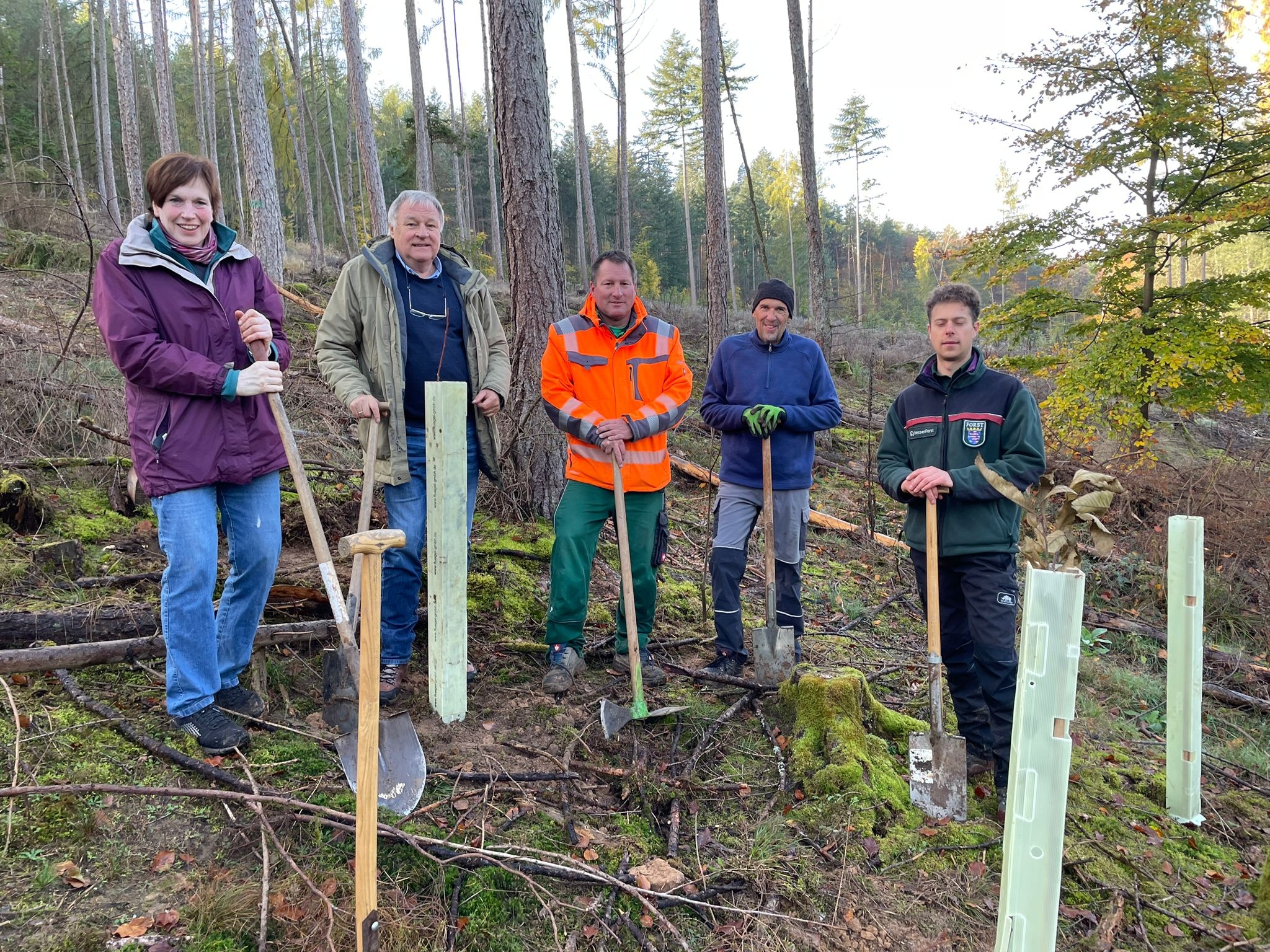 Baumpflanzaktion im Höchster Wald über Mümling-Grumbach | Höchst i. Odw ...